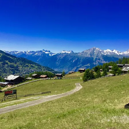 Pleasant With Paid Sauna *