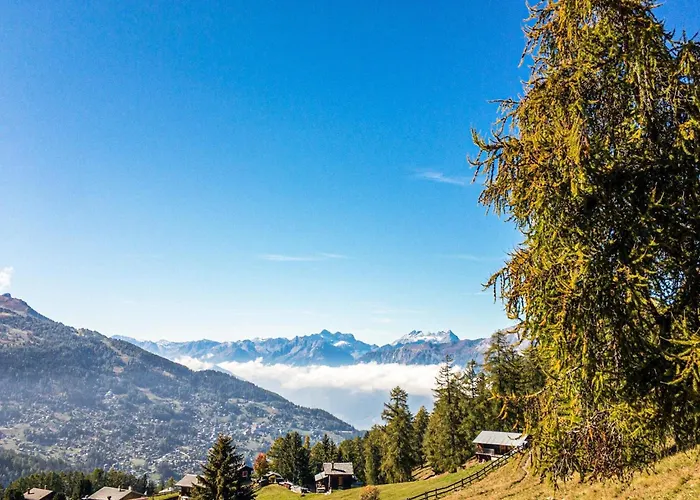 Διαμέρισμα Pleasant With Paid Sauna Nendaz