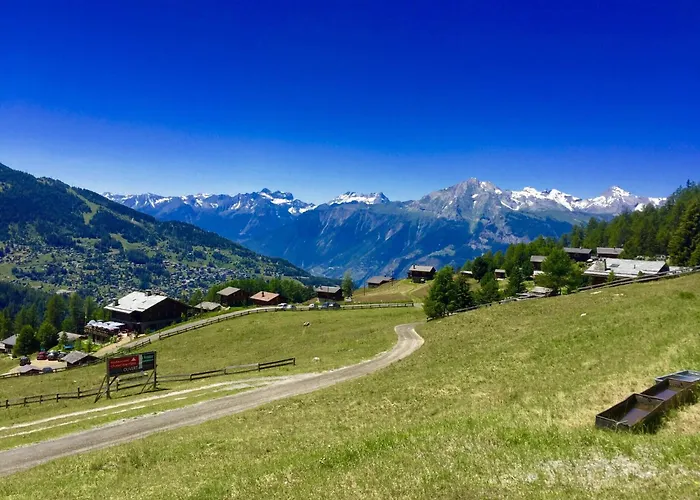 Pleasant With Paid Sauna *