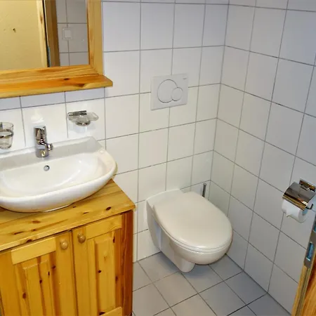 Pleasant With Paid Sauna Apartament Nendaz